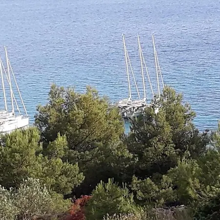 Kuca Paradise- Robinson