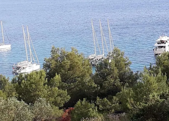 Kuca Paradise- Robinson